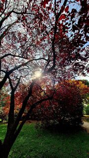 Foto von Regina Fleischmann entlang der Tour