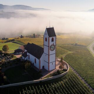 Hallau_Nebel_Bergkirche_Reben_Herbst