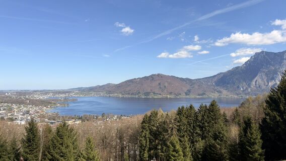 Fotografija s spletne strani Viktoria na poti