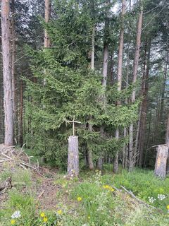Foto von Agnes Dohoczki entlang der Tour
