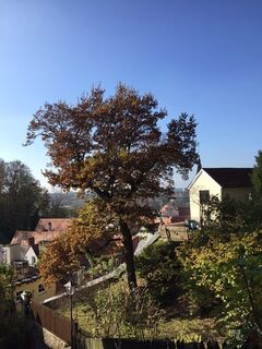 Fotografia z Jürgen Spitzkopf na trase