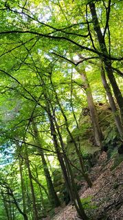 Fotografie de la Hans de-a lungul turului