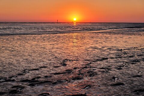 Sonnenuntergang an der Wurster Nordseeküste