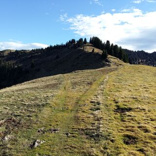 Wastlhöhe in Richtung Sunnhüttl