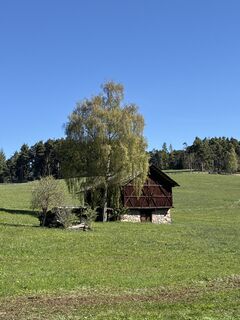 Photo de Günter Ritzer le long du parcours