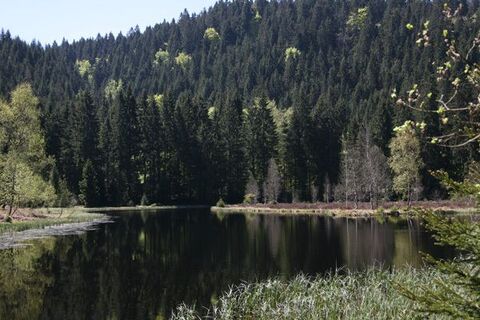 Ellbachsee