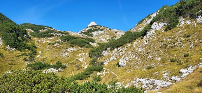 Fotografija s spletne strani Igor napast na poti