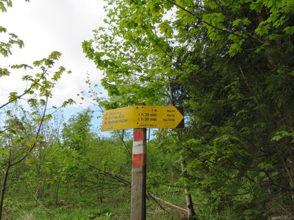 Grünburger Hütte - Gaisberg - Dürres Eck - Dorngraben - Steyerschlucht - Frauenstein