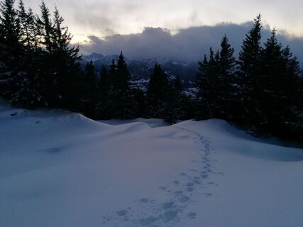 Fotografija s spletne strani Turbinio na poti
