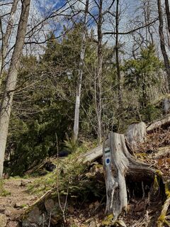 Fotografija s spletne strani berg-wanderer na poti