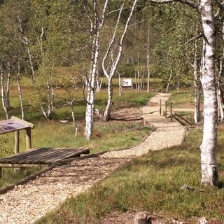 Themenweg am Hochmoor Wasenmoos