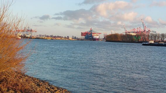 Photo de nordbergschnecke le long du parcours