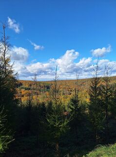 Фото с сайта Wolfgang Wallner 2 во время экскурсии