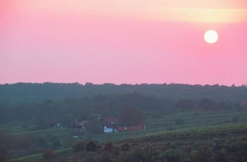 Sonnenuntergang am Csaterberg