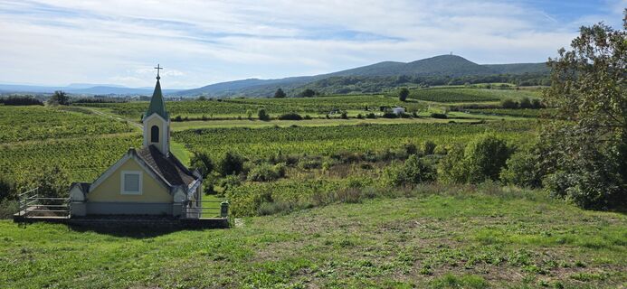 Foto de Helmut Neuhold a lo largo del recorrido