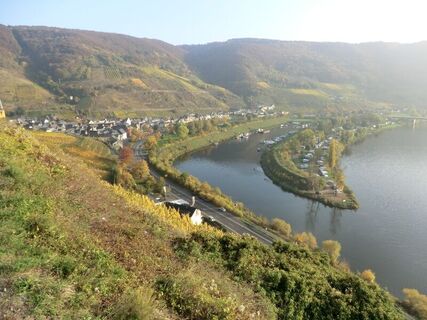 Zemljevid