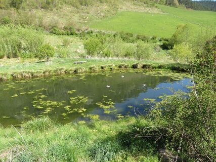 Rohrbachgraben -- Bodenwiese auf der Gahns