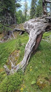 Photo de Jodeli le long du parcours