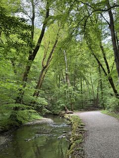 Fotografia z Denise Miller na trase