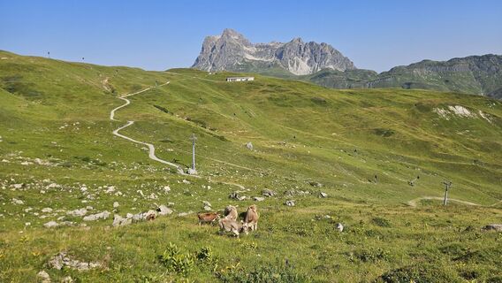 Foto von Stefan Büter entlang der Tour