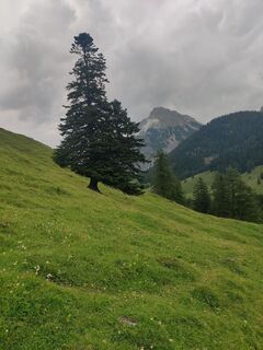 Fotografia z Xenia Lange na trase