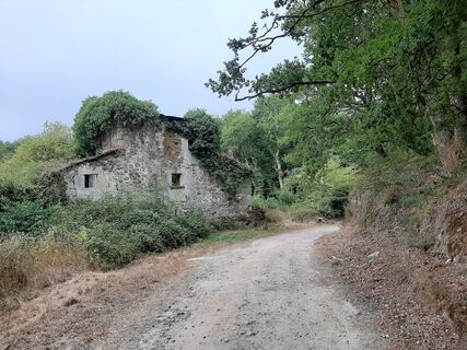 Fotografija s spletne strani Niek Abbes na poti