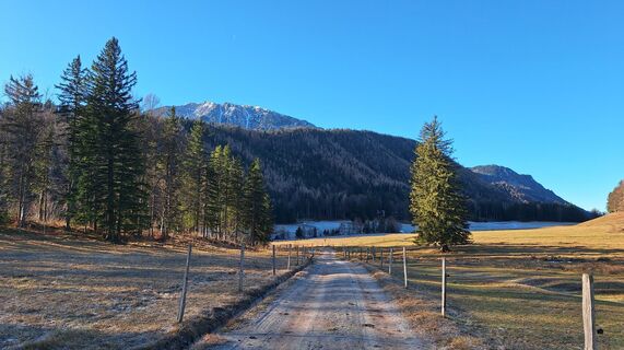 Fotografija s spletne strani Regina Fleischmann na poti