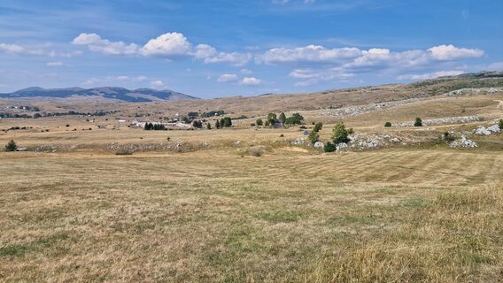 Foto von Joe Pasi entlang der Tour