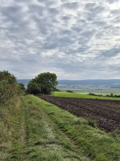 Photo de Ronald 4 le long du parcours