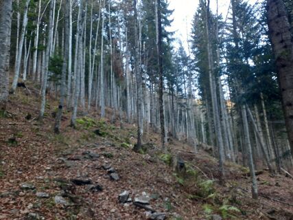 Фото с сайта Artemis83 во время экскурсии