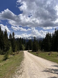 Foto von Peter Schäfer entlang der Tour