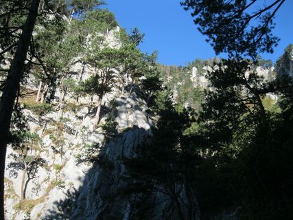 Payerbach - Krummbachstein - Puchberg