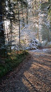 Fotografie z A Leuenberger na trase