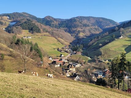 Foto von Birgit Veeser entlang der Tour