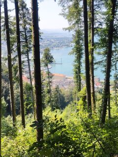 Foto von Robert Hehle 2 entlang der Tour