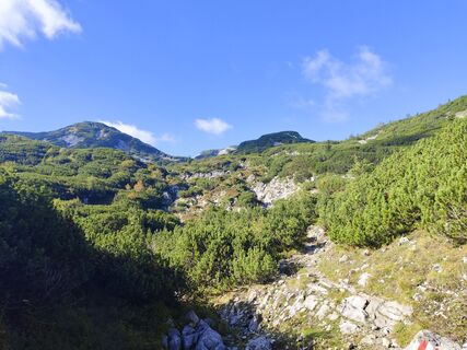 Foto de flexl-e a lo largo del recorrido