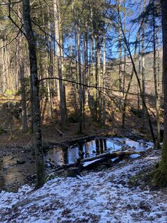 Foto von Sabine08 entlang der Tour