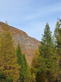 Fotografie z Pinzger Petra ??‍♀️?? na trase