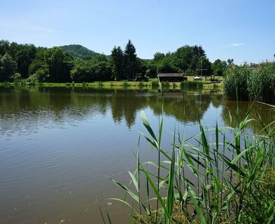 Silbersee - Angelweiher - Pfälzer Seentour