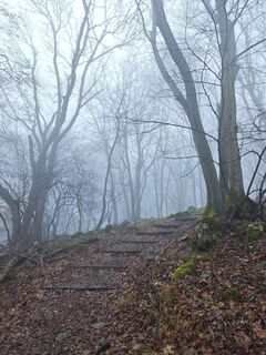Foto de Katona Ferk Mariann a lo largo del recorrido