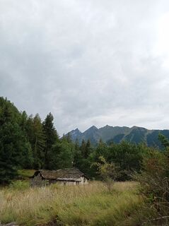 Fotografija s spletne strani Aner na poti
