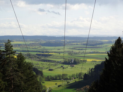 Blick in den Schwarzwald