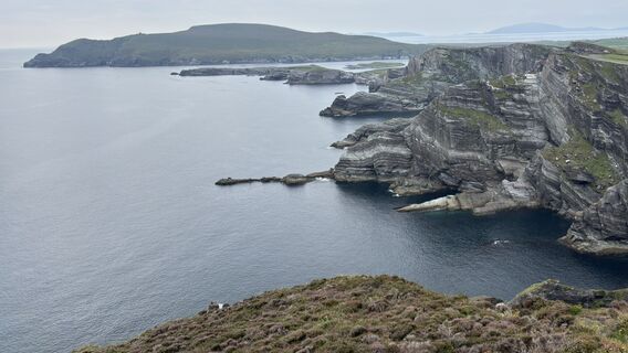 Fotografia z sagal na trase