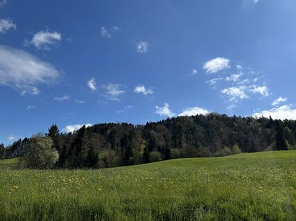 Foto von Siri-Ava entlang der Tour