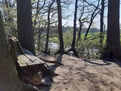 Foto von nordbergschnecke entlang der Tour
