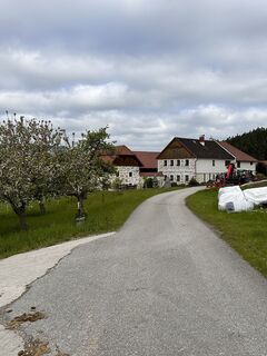 Photo de Babs Holz le long du parcours