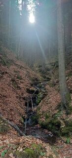 Foto von Thomas Michalek 1 entlang der Tour