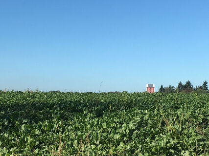 Der Förderturm des Bergwerks Friedrich-Heinrich, auch von Weitem zu sehen