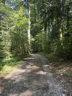 Foto de Dimitrinka suranyi a lo largo del recorrido
