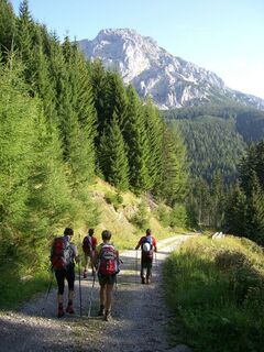 Haidsteig (C/D) auf die Preiner Wand 1783m